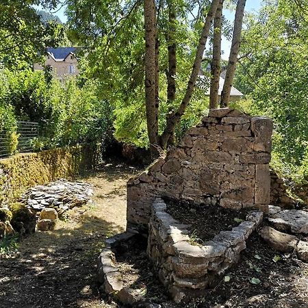 Maison Traditionnelle En Lozere Saint-Saturnin  Eksteriør billede